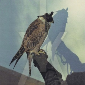 Iceage-Youre-Nothing-608x608