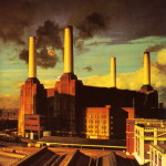 pink floyd