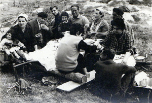 pic nic
