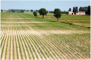 campi