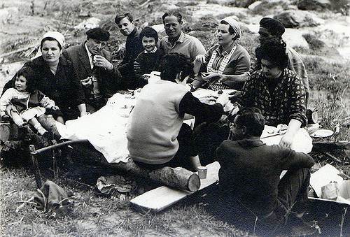 pic-nic
