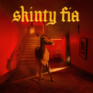 fontaines_d-c-_-_skinty_fia